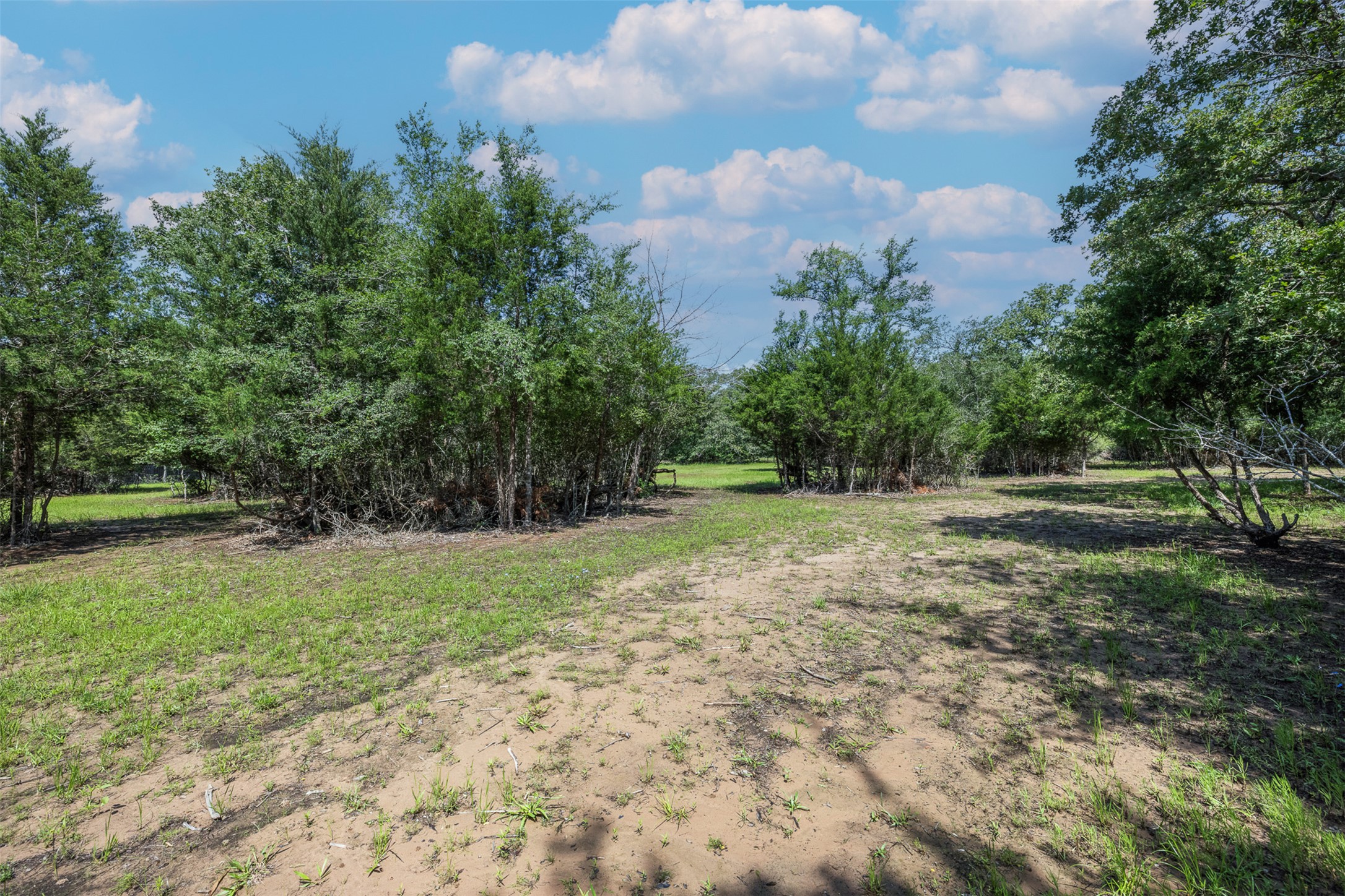 7132 Serenity Ranch Road Somerville, TX 77879 - Photo 15 of 27
