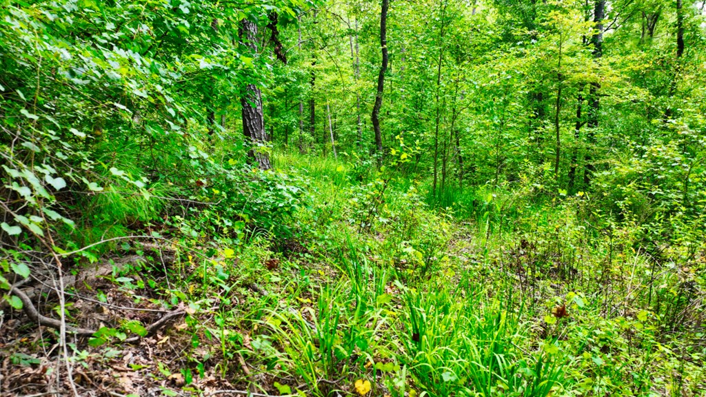 515 Pueblo Road Columbus, GA 31904 - Photo 17 of 19 Gallery Image 17