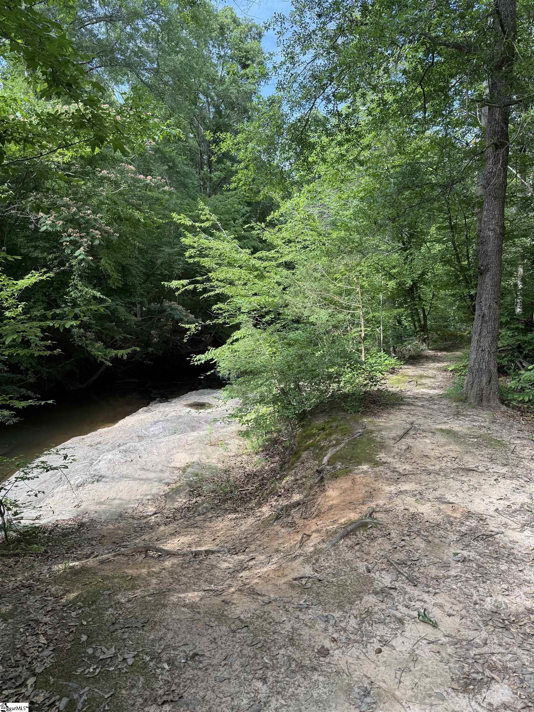 113 Waters Run Lane Simpsonville, SC 29681 - Photo 34 of 35