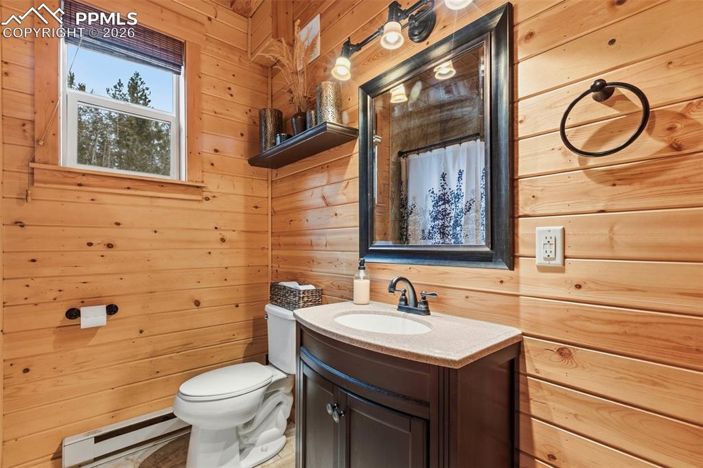 325 Willow Road Divide, CO 80814 - Photo 25 of 49