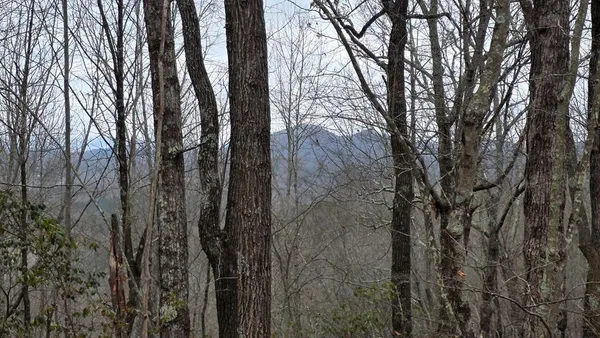 $457,000 | 35-ac Ducks Nest Road, Turtletown, TN 37391