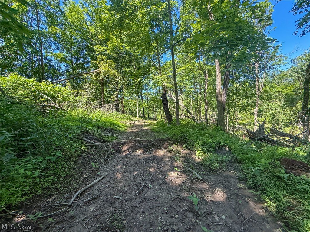 Lot 4 Altamont Road Mingo Junction, OH 43938 - Photo 6 of 27 Gallery Image 6