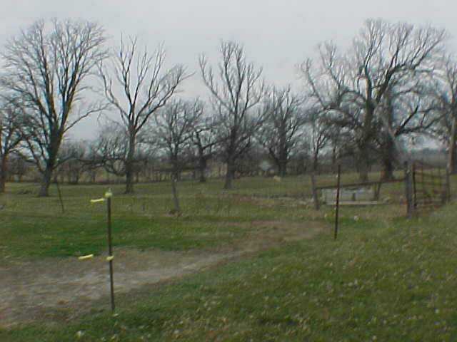 10764 East Walnut Grove Road Davis, IL 61019 - Photo 5 of 7 a backyard of a house with lots of green space