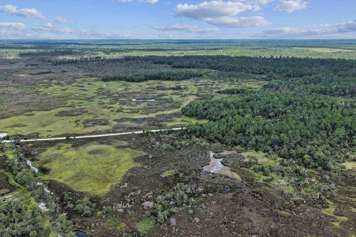 4019 Yates Creek Road Perry, FL 32348 - Photo 2 of 14