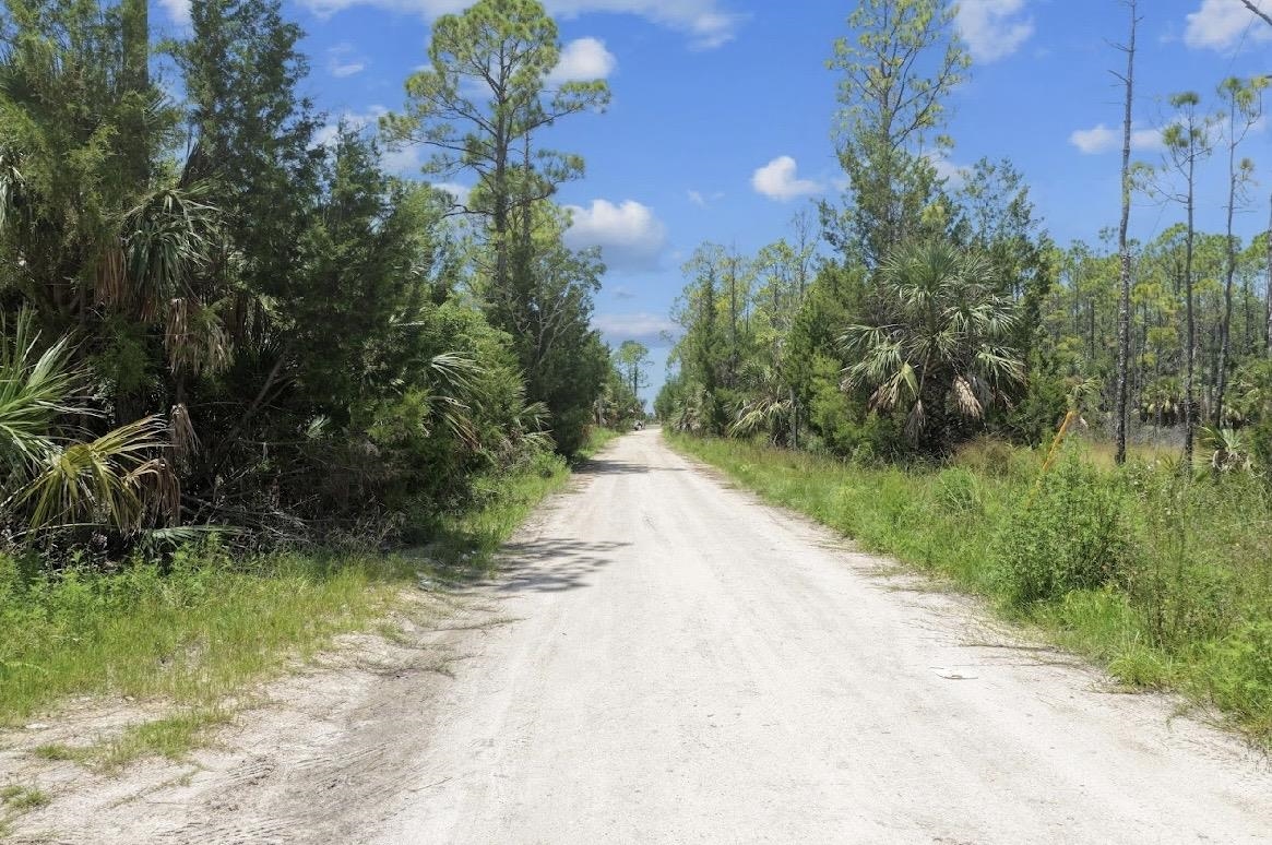 4019 Yates Creek Road Perry, FL 32348 - Photo 9 of 14