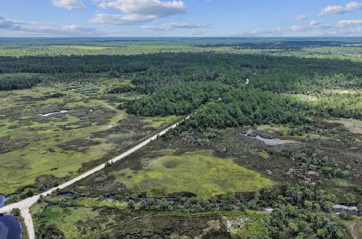 4019 Yates Creek Road Perry, FL 32348 - Photo 10 of 14