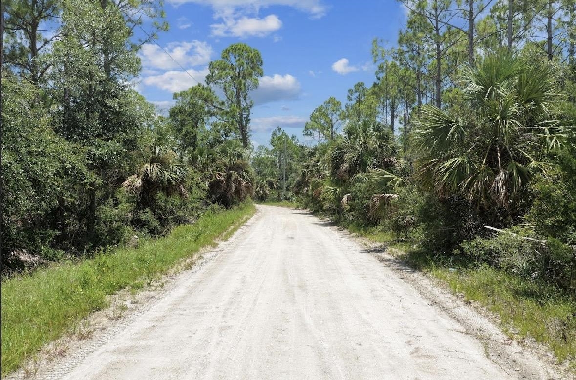 4019 Yates Creek Road Perry, FL 32348 - Photo 10 of 14