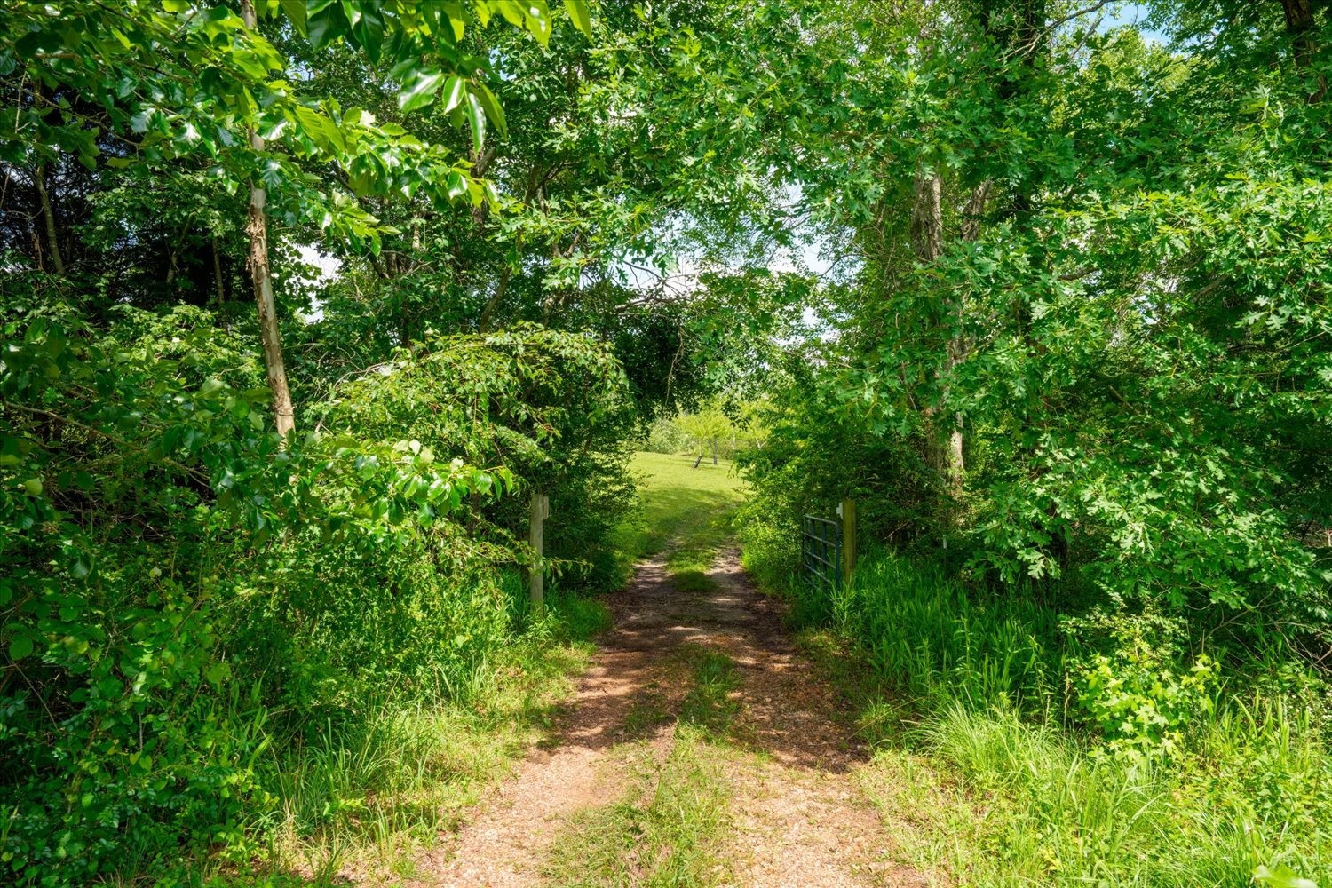 124 Napier Road Hohenwald, TN 38462 - Photo 71 of 83