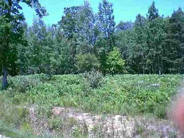 5 Mile Road Morley, MI 49346 - Photo 1 of 2 Primary Photo