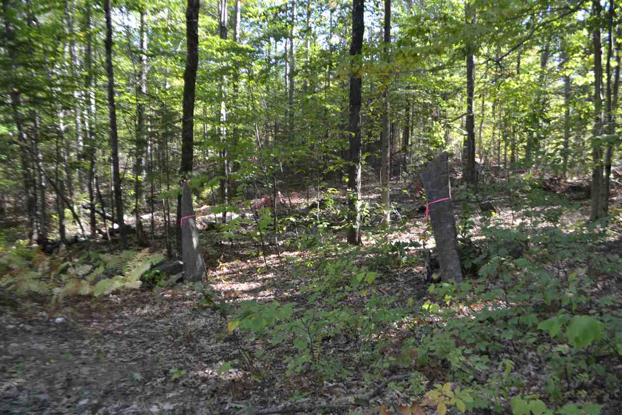 391 Currier Road Hill, NH 03243 - Photo 3 of 5