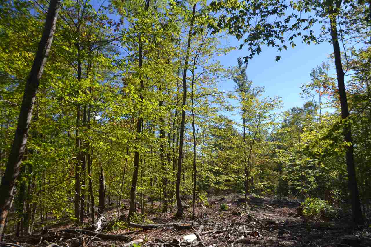 391 Currier Road Hill, NH 03243 - Photo 4 of 5