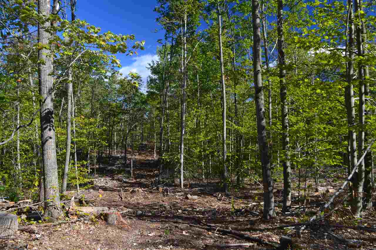 391 Currier Road Hill, NH 03243 - Photo 5 of 5