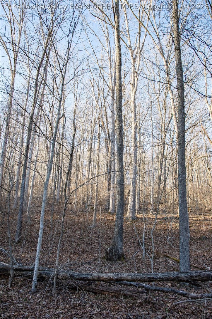 0 Midway Road Alum Creek, WV 25003 - Photo 7 of 7 Gallery Image 7