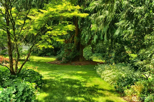 a view of a chair and table in backyard of the house