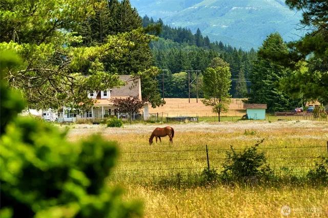 a house view with swimming pool in front of it
