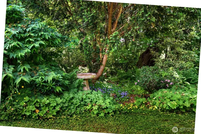 a view of outdoor space and yard