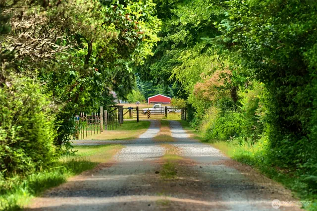 a view of a yard with plants and trees
