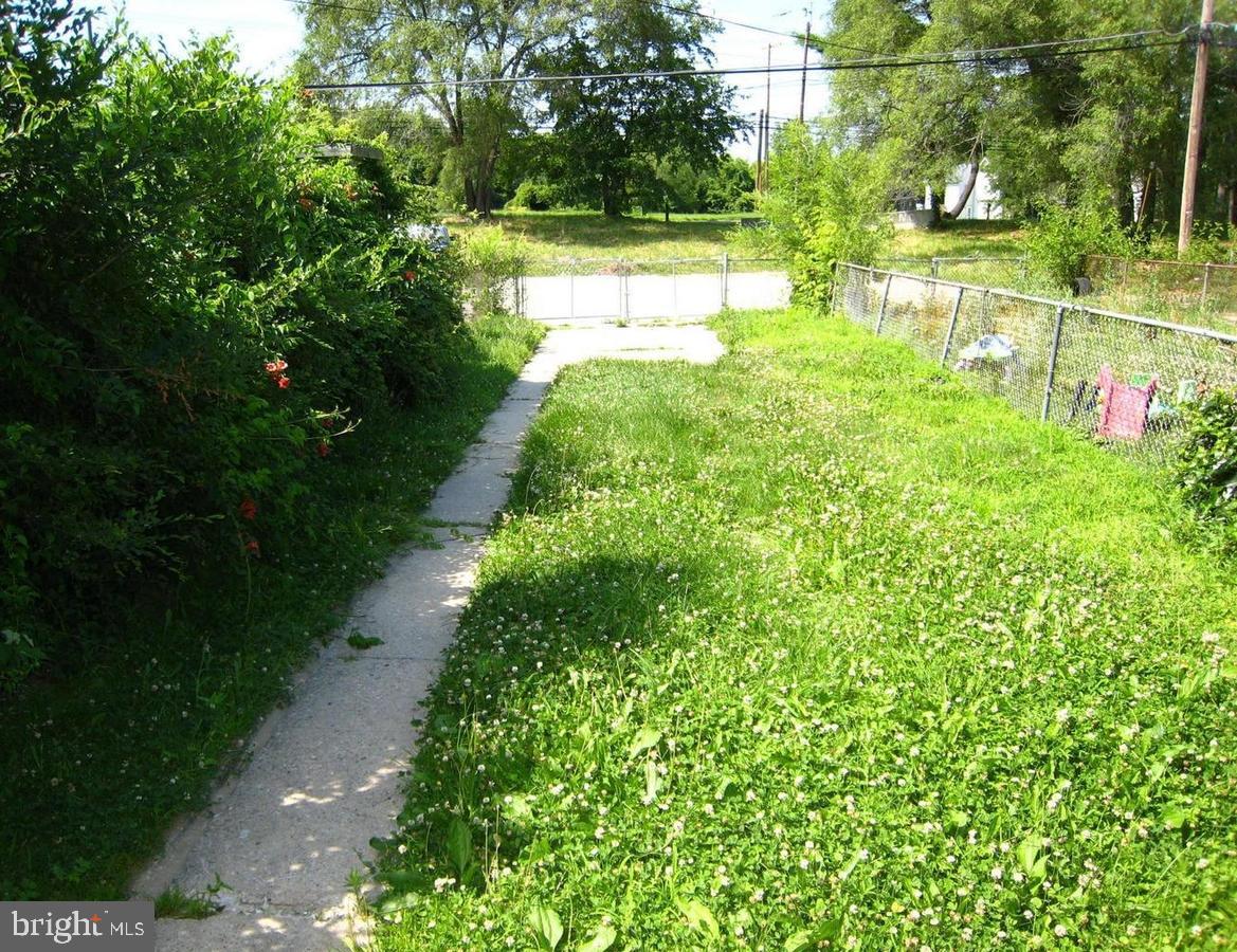 9748 Matzon Road Baltimore, MD 21220 - Photo 6 of 17 back yard has grass, behind it carpark