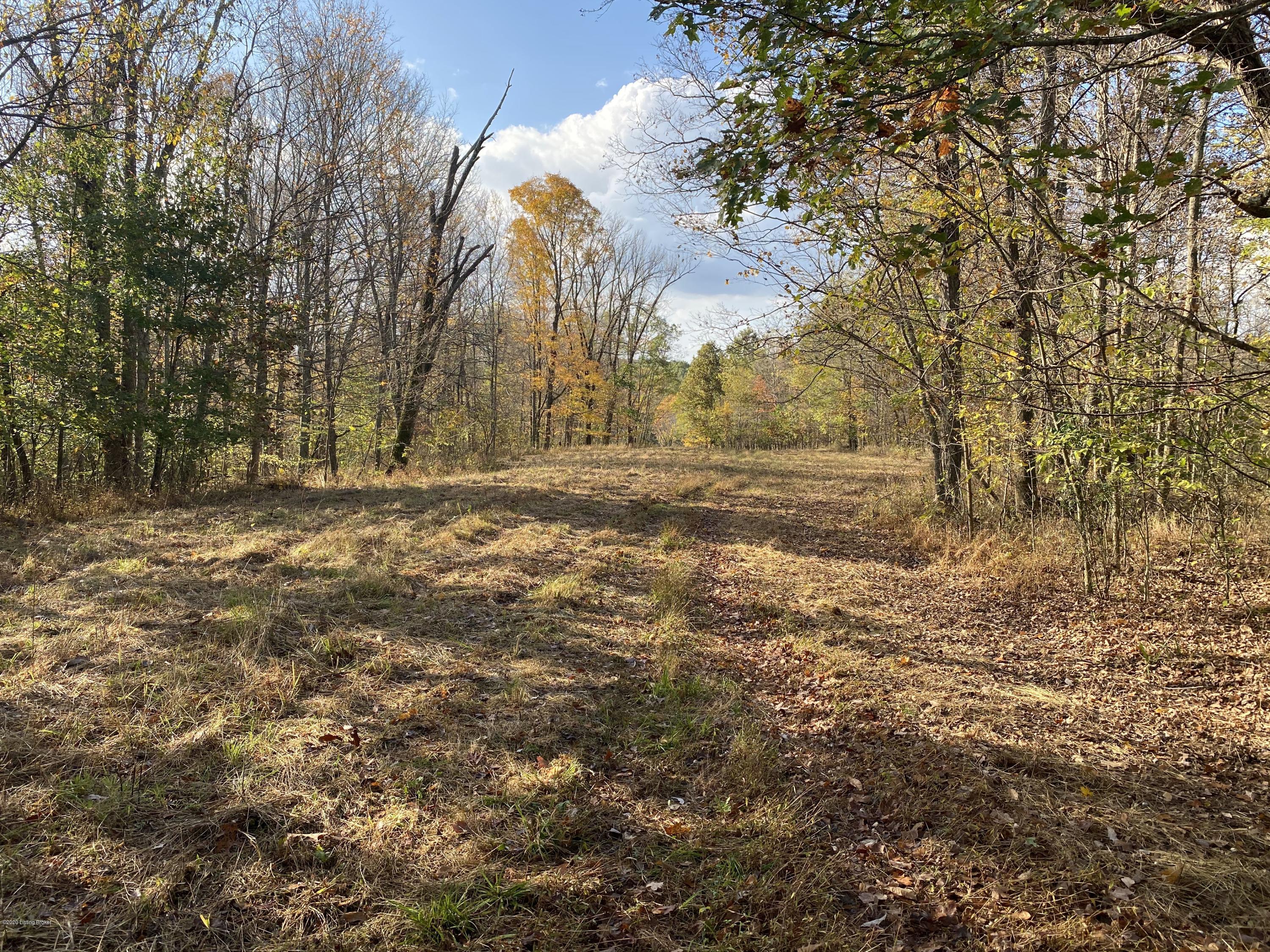 910 Greens Chapel Road Bloomfield, KY 40008 - Photo 14 of 18 Old Field 1