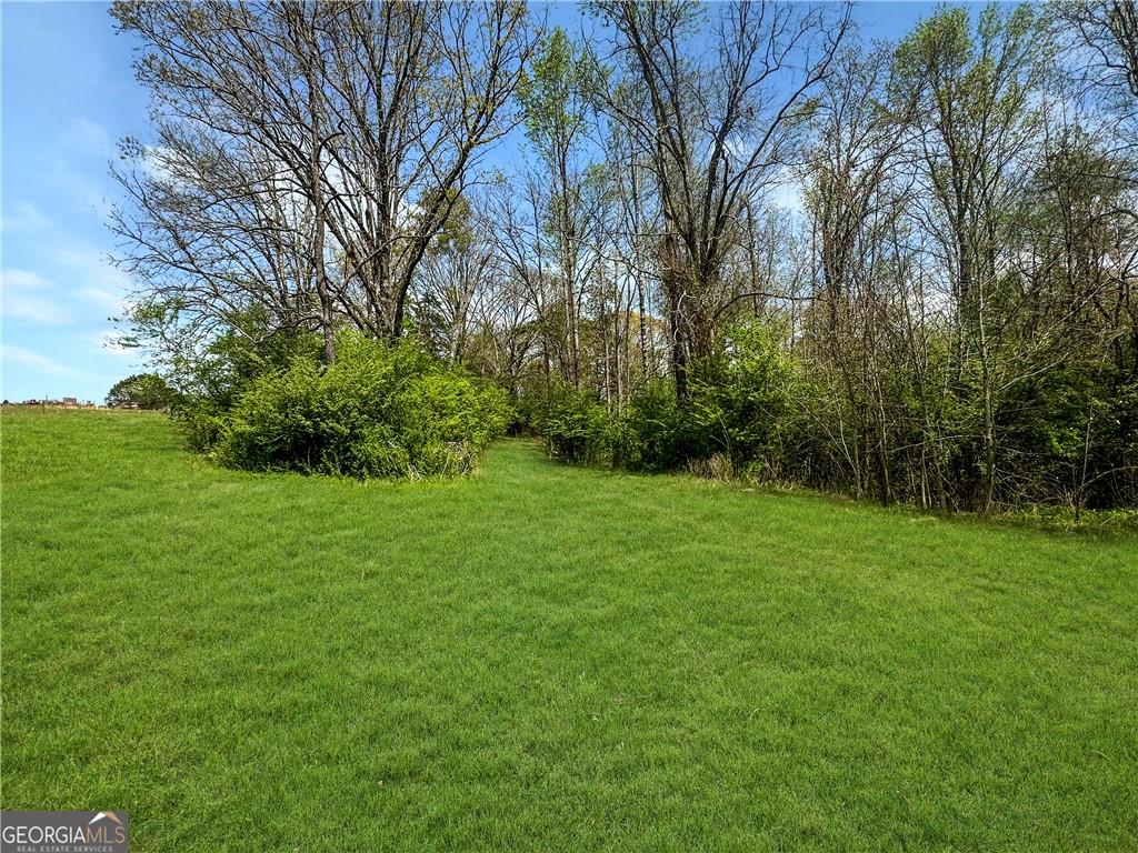 960 Goose Neck Road Eastanollee, GA 30538 - Photo 3 of 12 a view of a lush green space