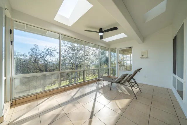 a view of a bunch of trees and bushes