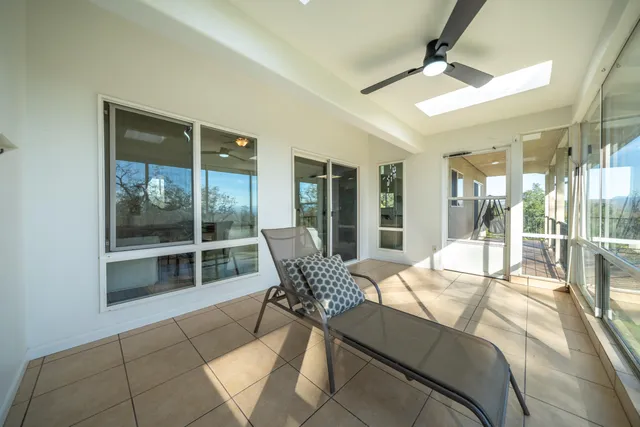 a view of a yard with plants and trees