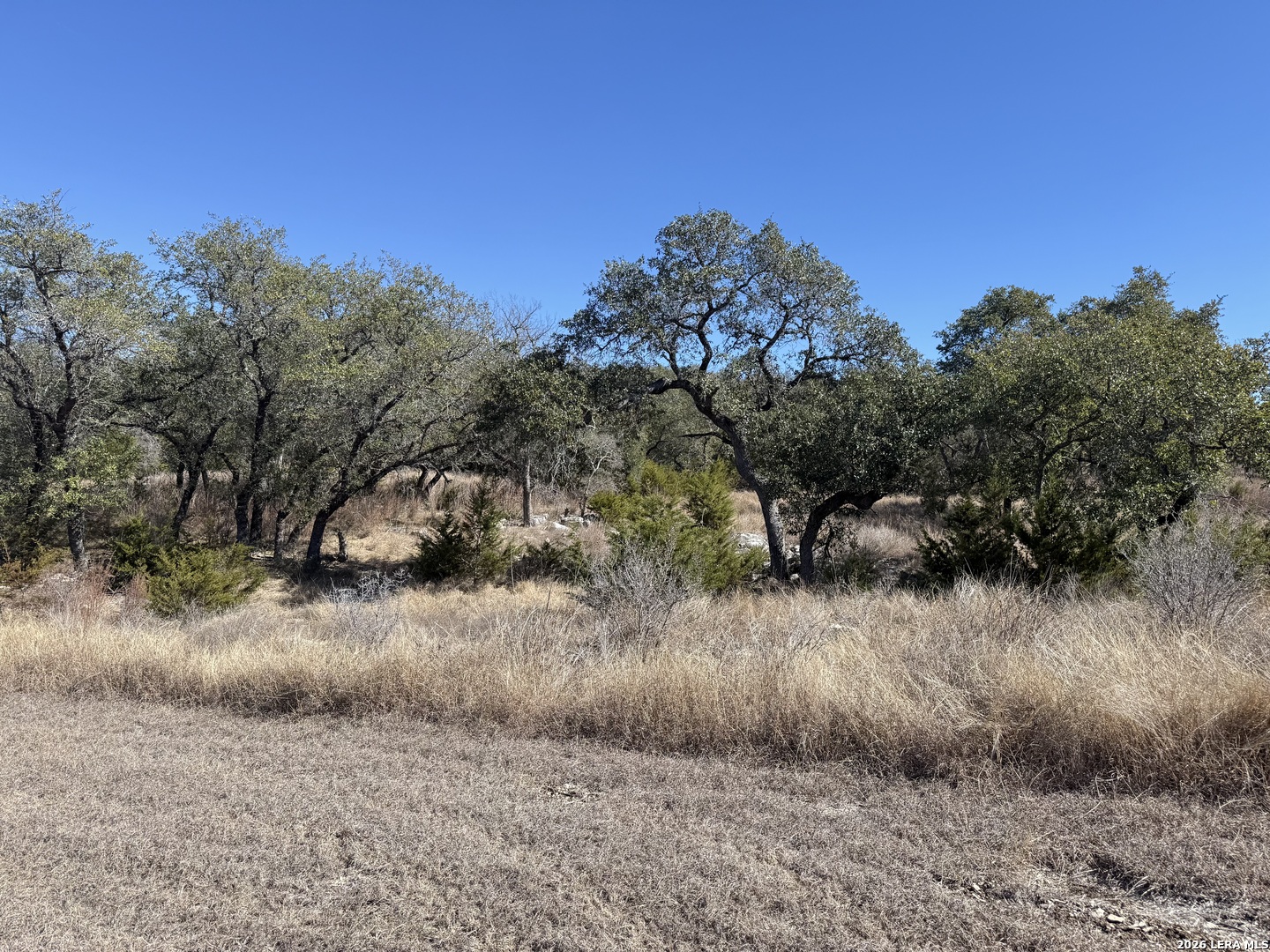 275 Rough Hollow Road Johnson City, TX 78636 - Photo 11 of 23