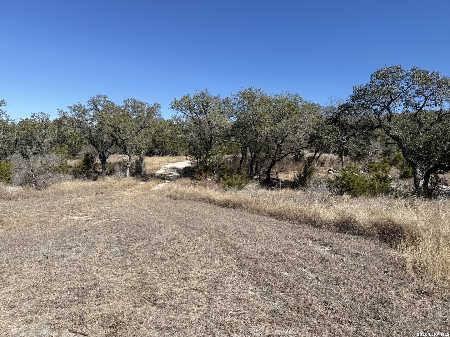 275 Rough Hollow Road Johnson City, TX 78636 - Photo 12 of 23
