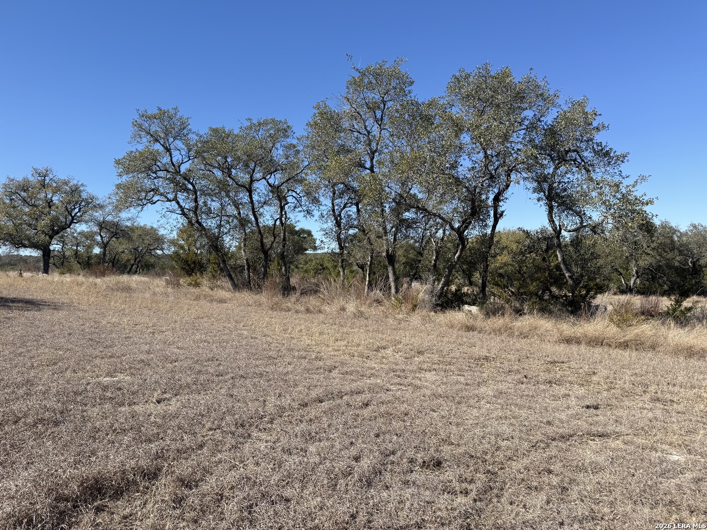 275 Rough Hollow Road Johnson City, TX 78636 - Photo 13 of 23