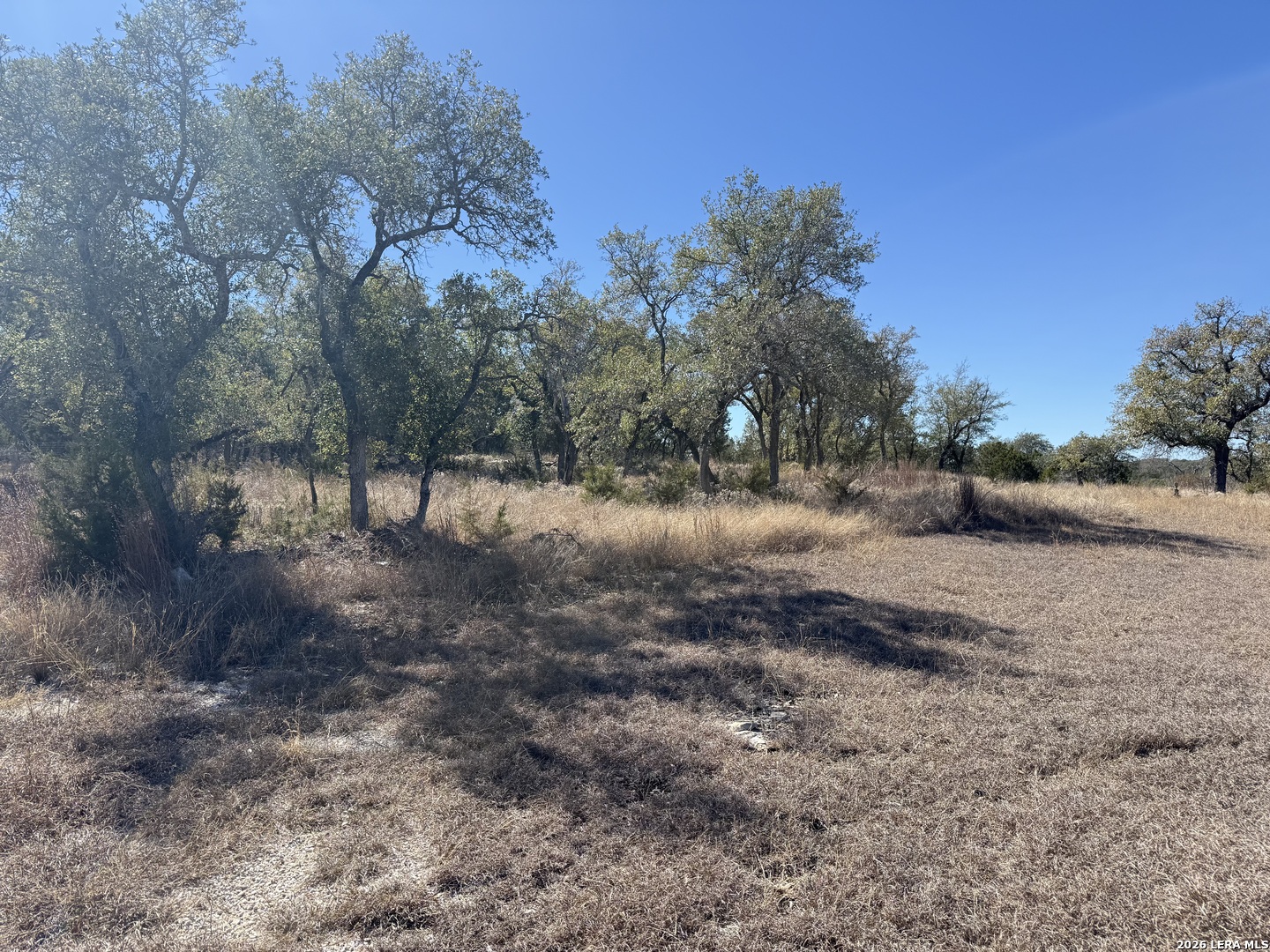 275 Rough Hollow Road Johnson City, TX 78636 - Photo 14 of 23