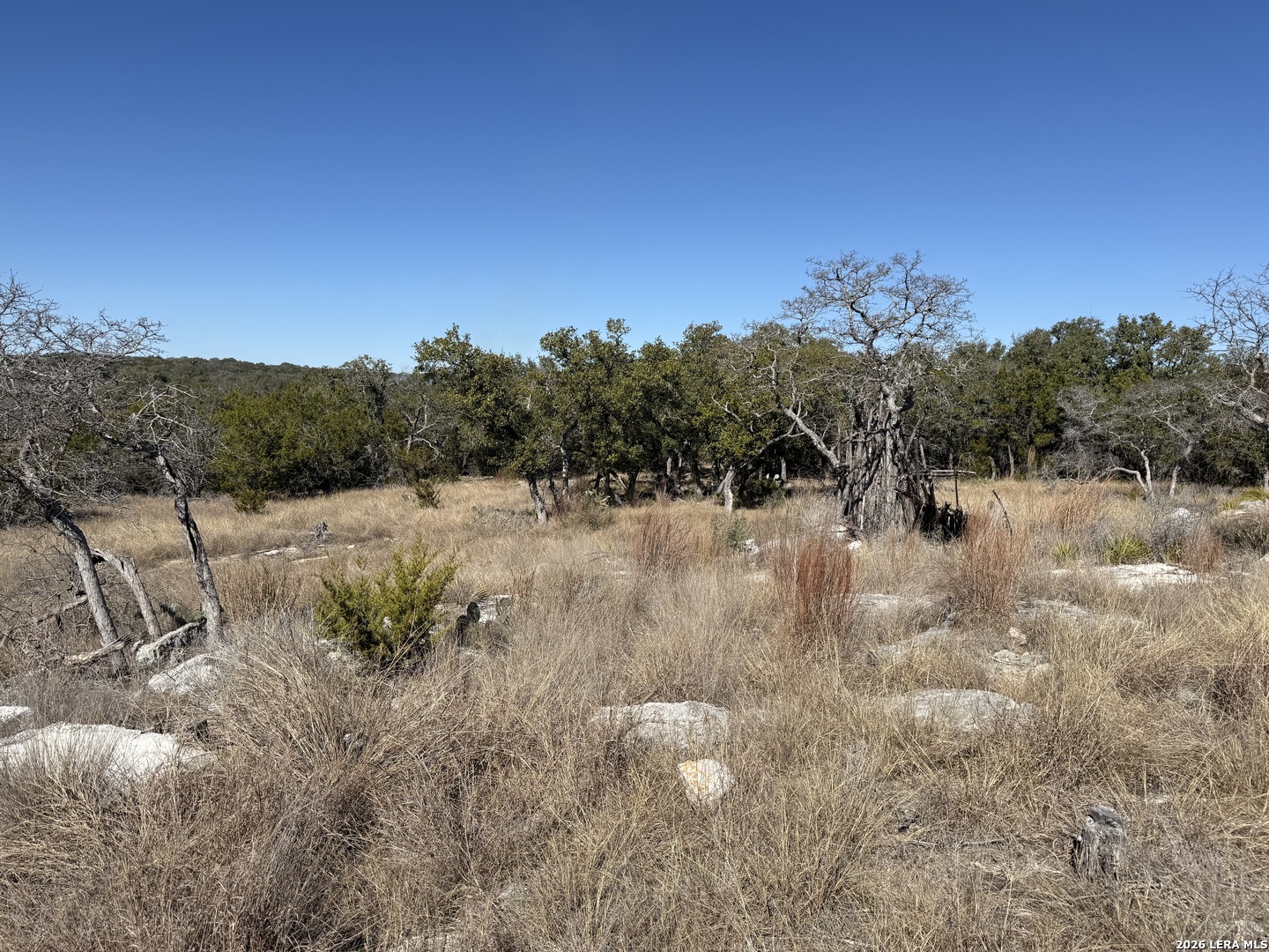 275 Rough Hollow Road Johnson City, TX 78636 - Photo 19 of 23