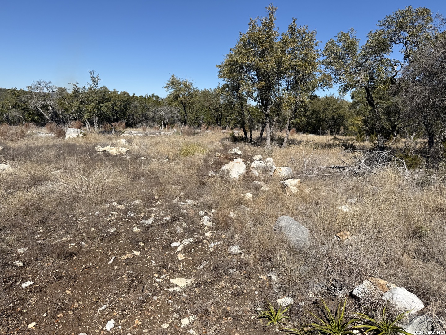 275 Rough Hollow Road Johnson City, TX 78636 - Photo 20 of 23