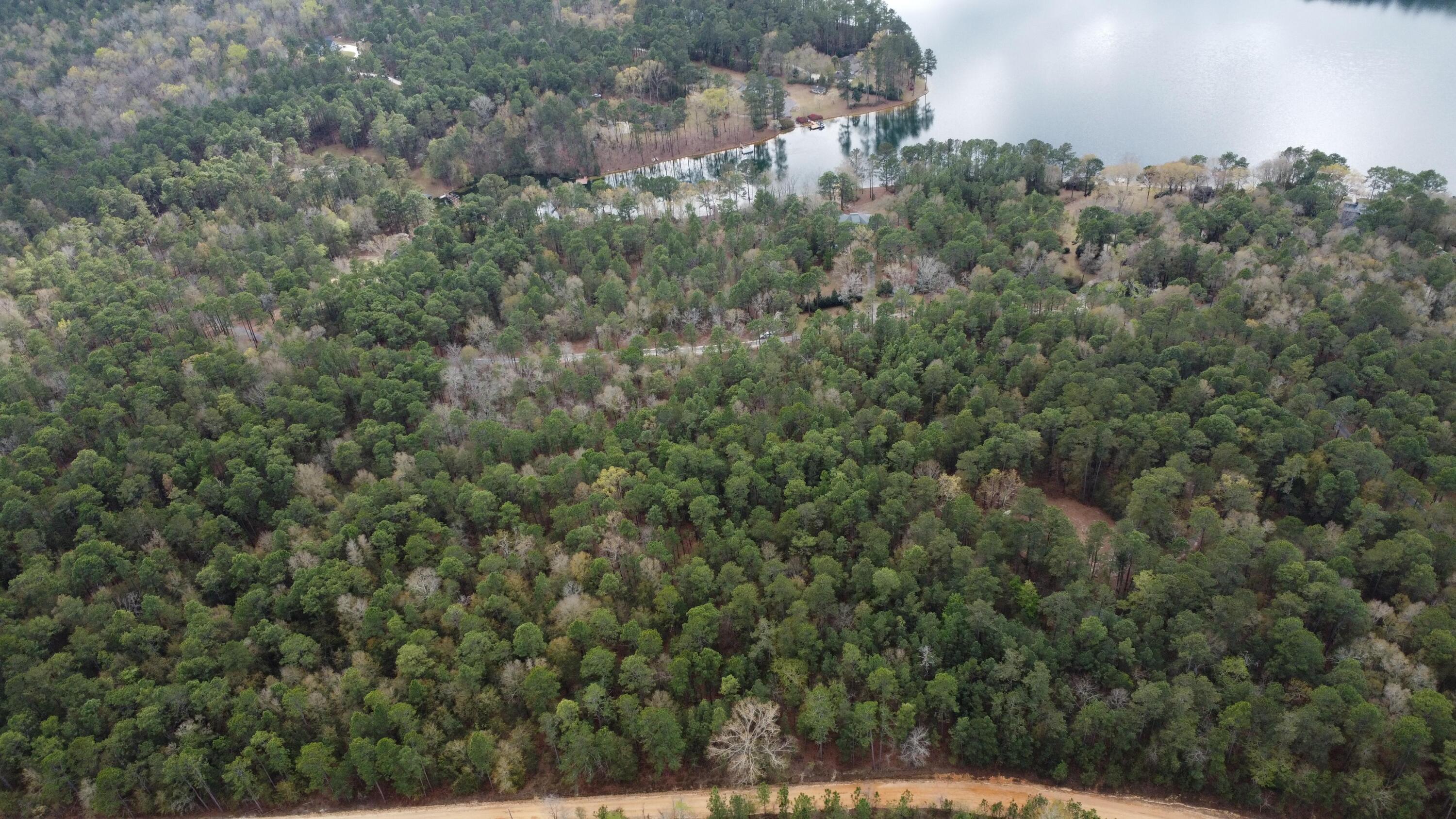 0 Edisto Lake Road Wagener, SC 29164 - Photo 2 of 14 2