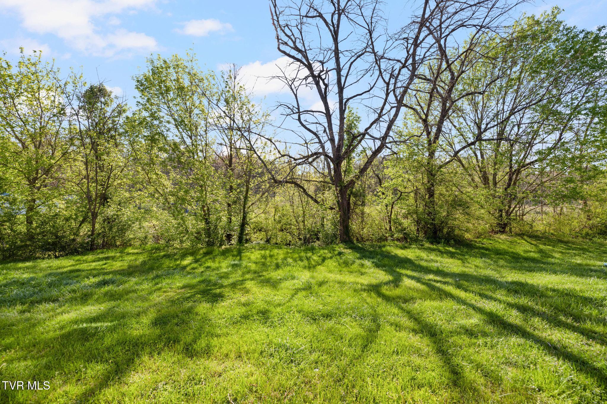 568 Gray Station Road, Unit 3 Johnson City, TN 37615 - Photo 27 of 27 IMG_8646