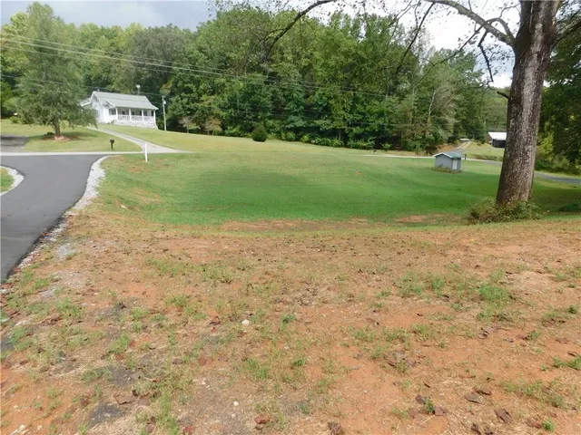 a view of a yard with plants and large trees
