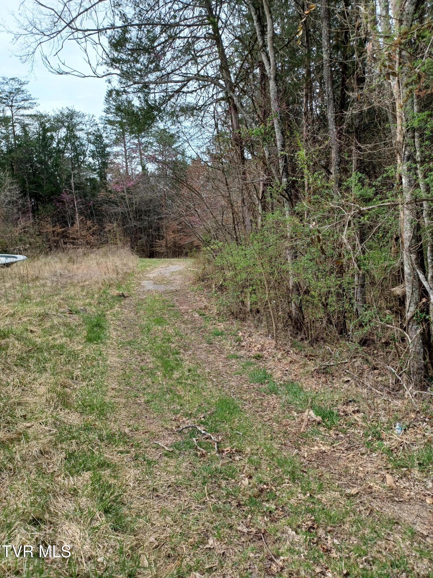 20-acres Dunville Gap Road Rutledge, TN 37861 - Photo 4 of 24 20250329_121254