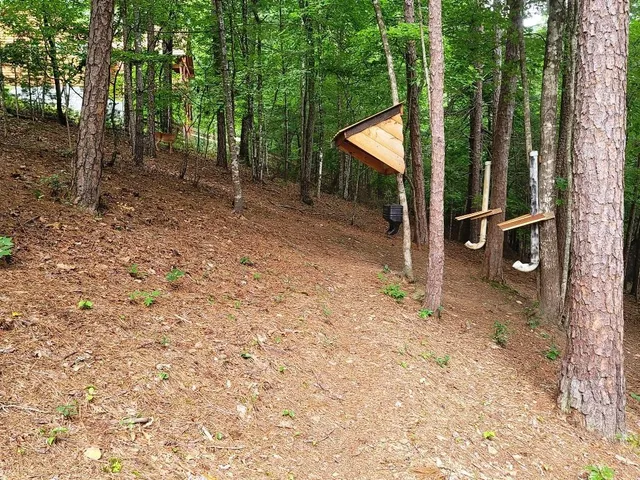 a backyard of a house with lots of green space