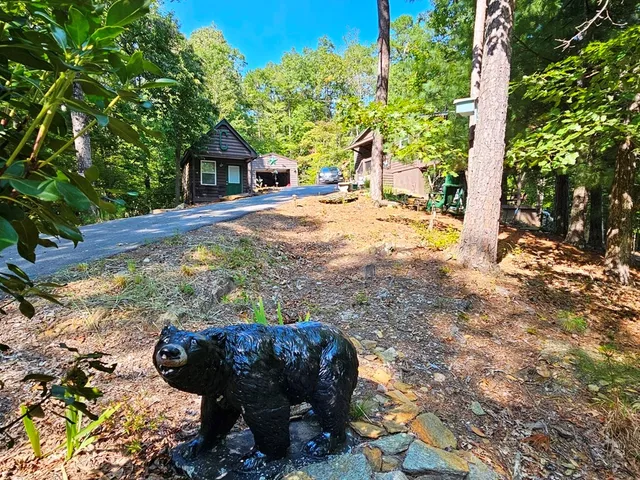 a view of outdoor space with lots of trees