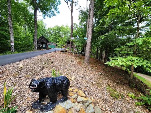 a view of a backyard with large trees
