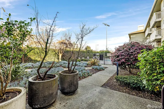 a view of a backyard with plants and plants