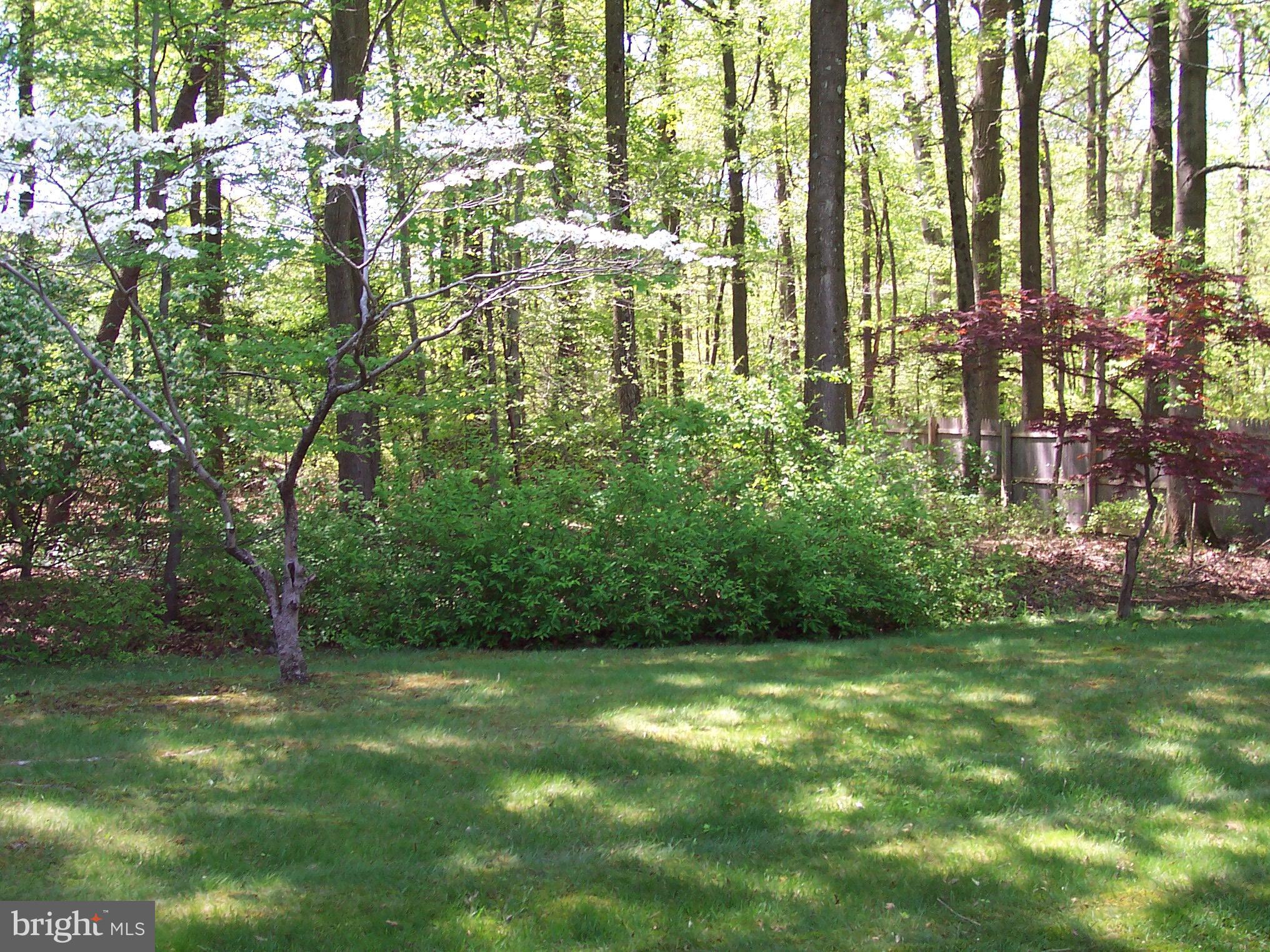 8745 Oxwell Lane Laurel, MD 20708 - Photo 30 of 30 Exterior (Rear)