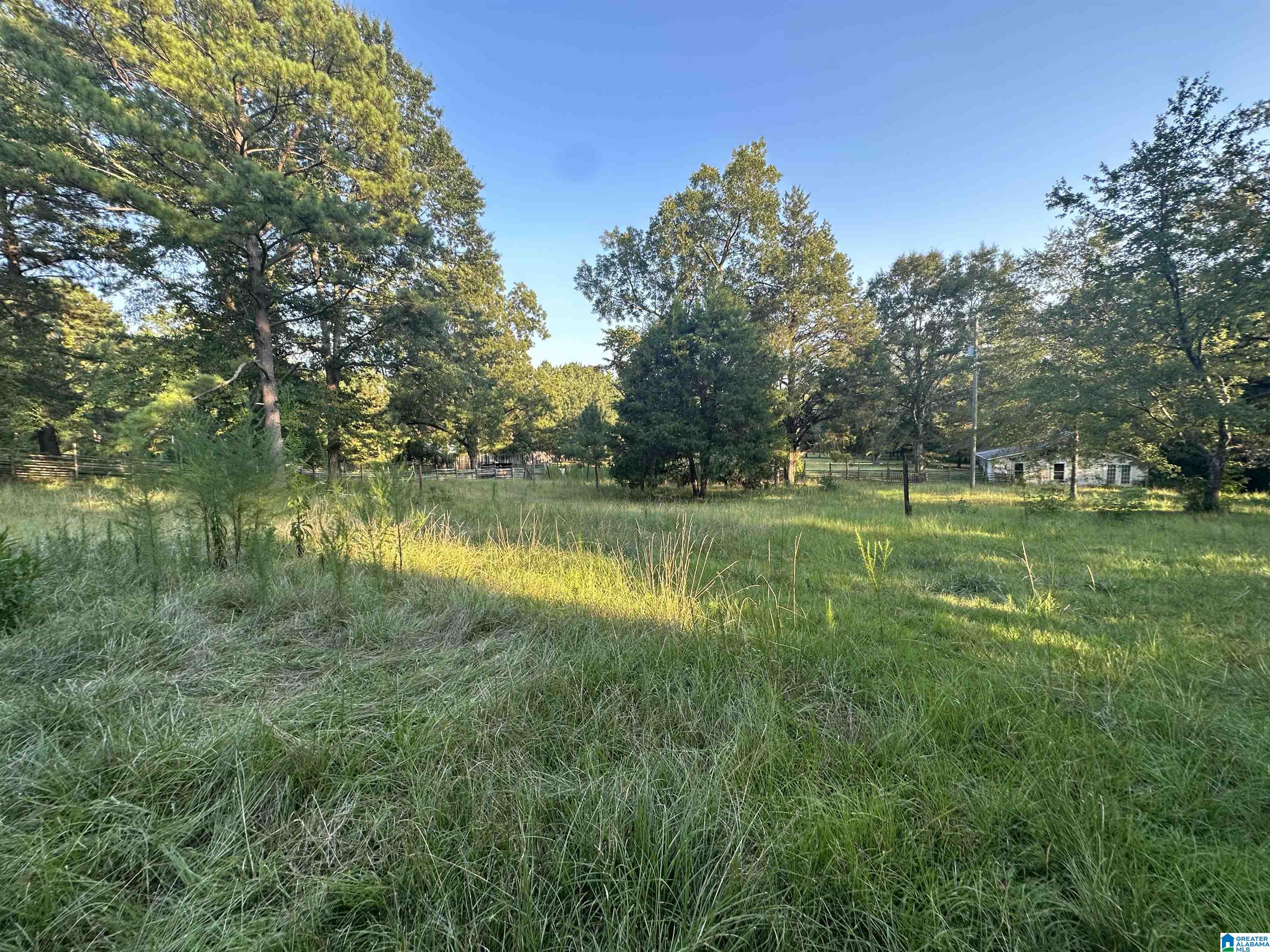 0 Honeycut Road Randolph, AL 36792 - Photo 26 of 29