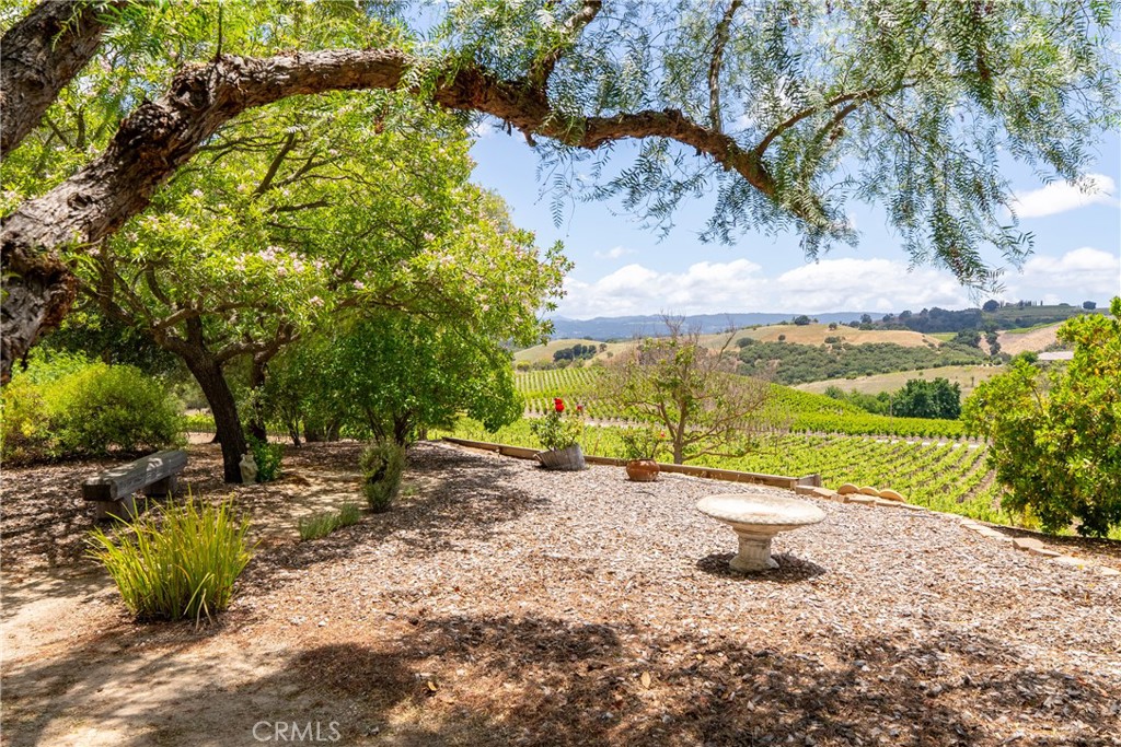 1618 Kiler Canyon Road Paso Robles, CA 93446 - Photo 37 of 62