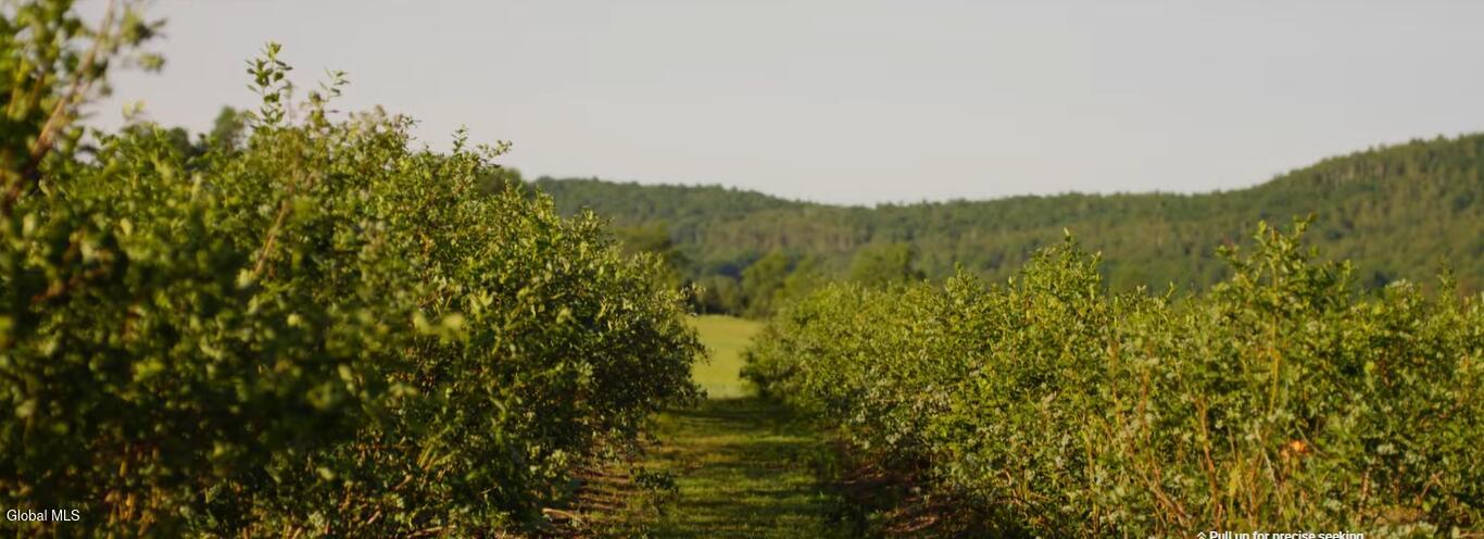 1483 County Rte 49 Argyle, NY 12809 - Photo 10 of 14 Screenshot 2026-03-21 130159