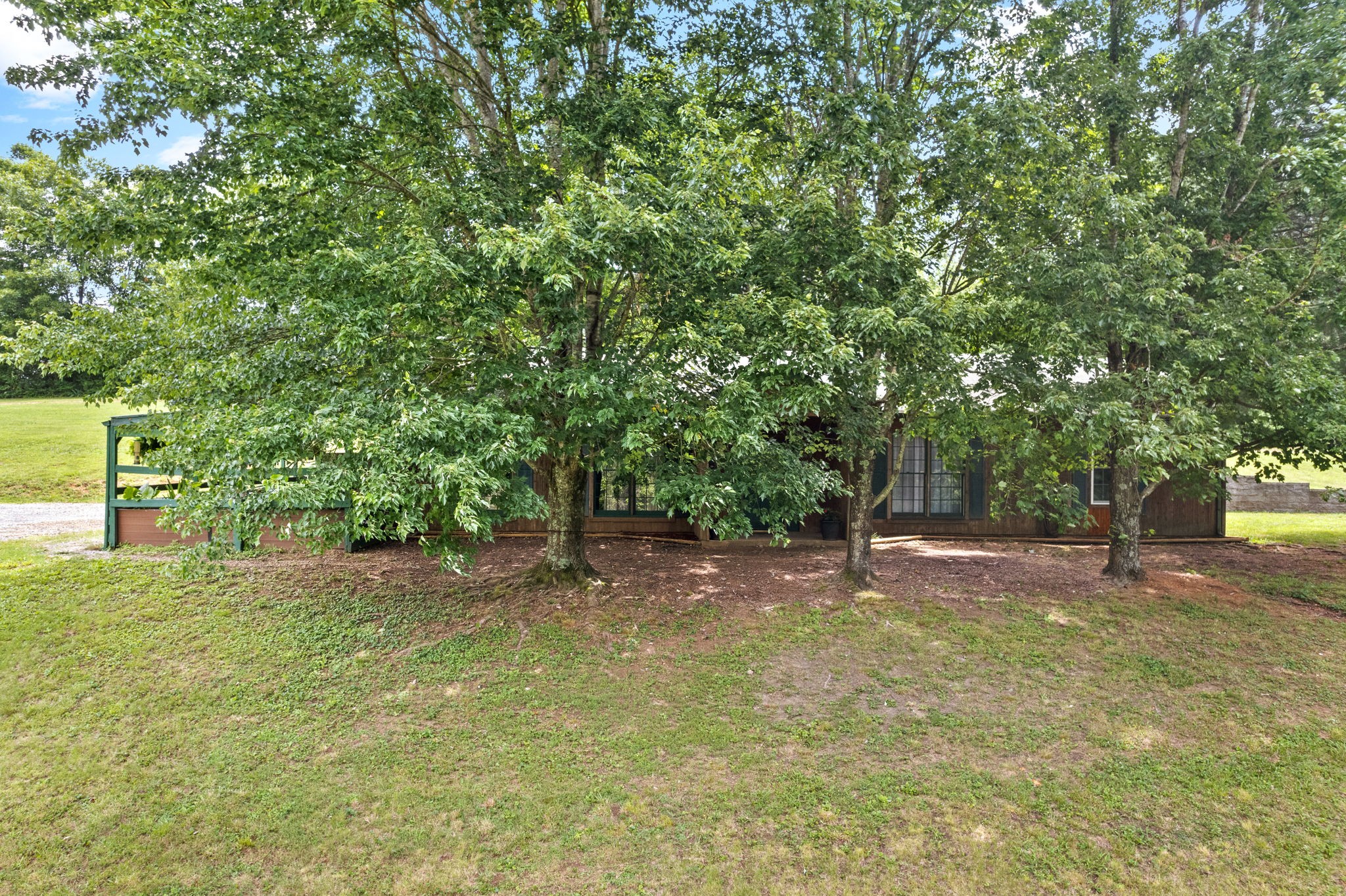 1040 Sensing Road Charlotte, TN 37036 - Photo 16 of 41 a view of a yard with a tree