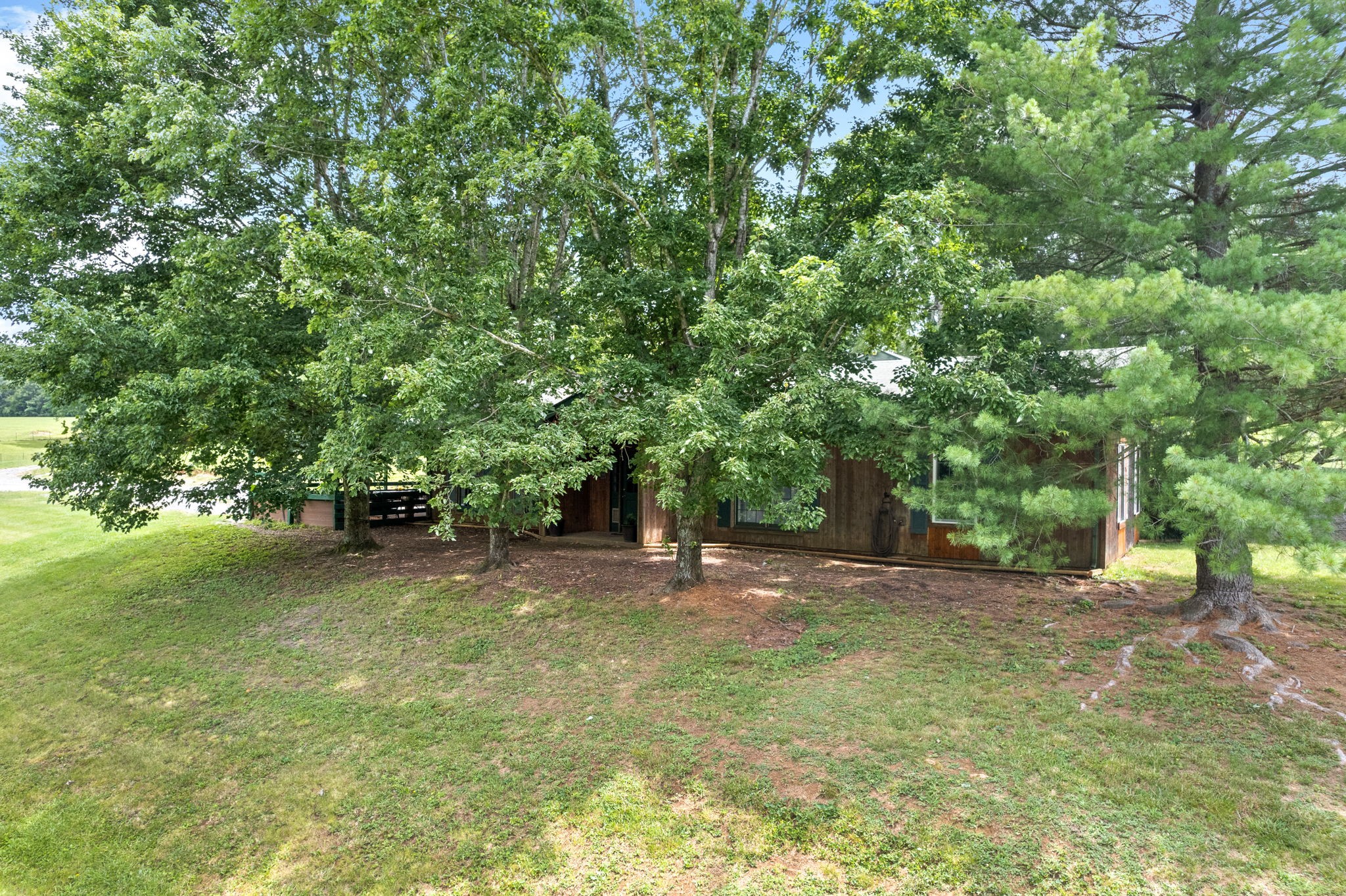 1040 Sensing Road Charlotte, TN 37036 - Photo 17 of 41 a fire hydrant in the middle of a field