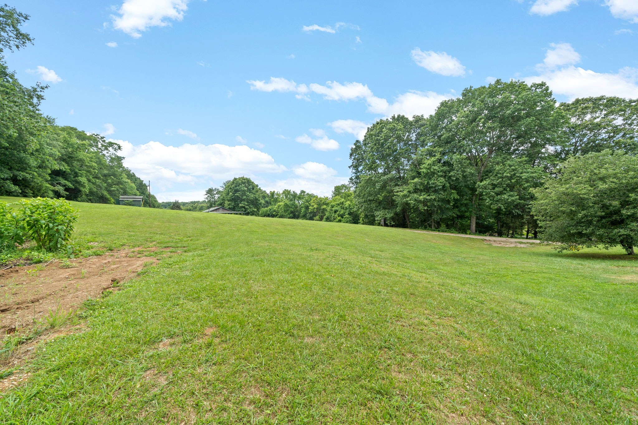 1040 Sensing Road Charlotte, TN 37036 - Photo 41 of 41 a view of a grassy field with trees in the background