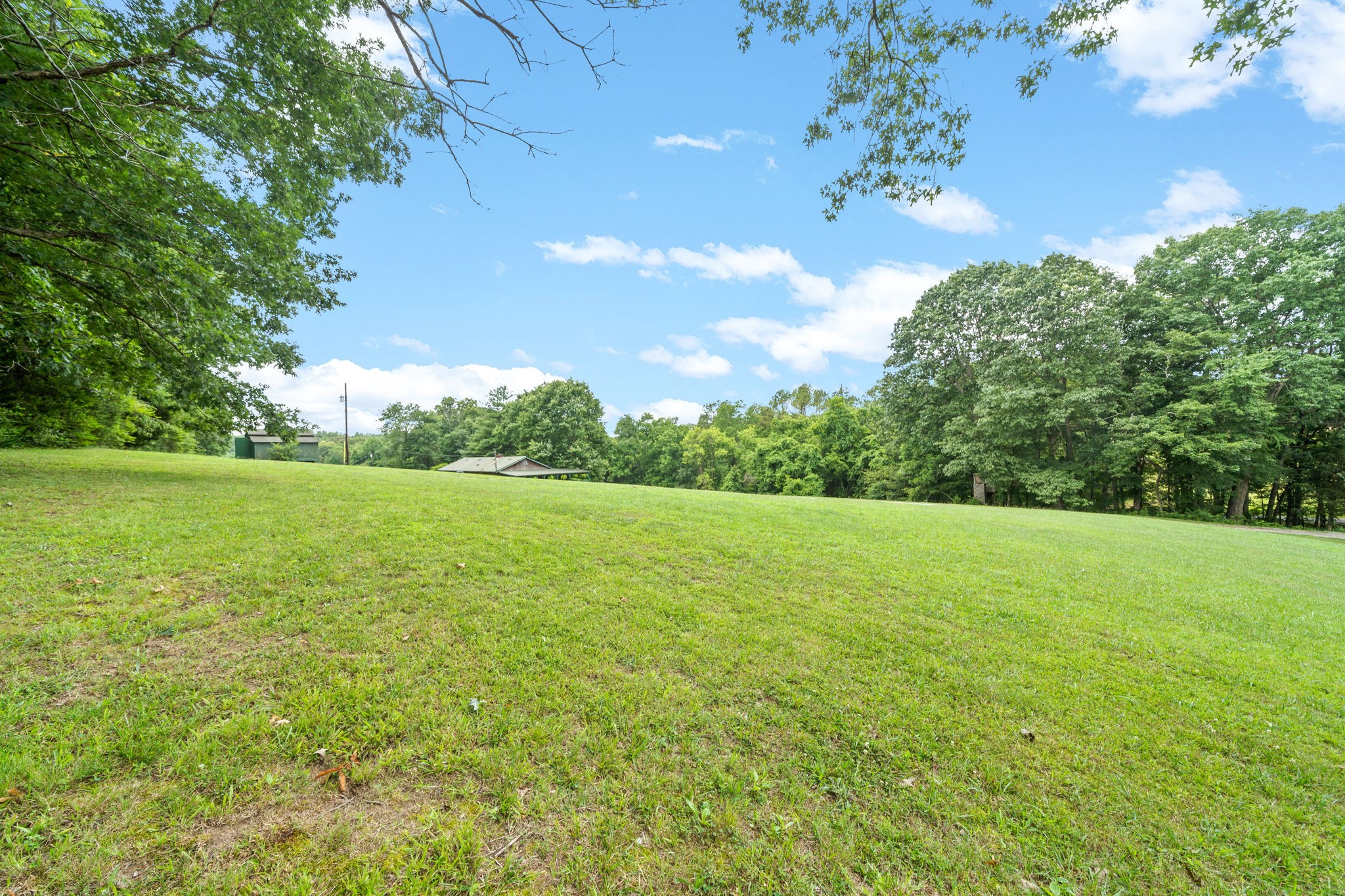 1040 Sensing Road Charlotte, TN 37036 - Photo 6 of 41 a view of a green field with clear sky
