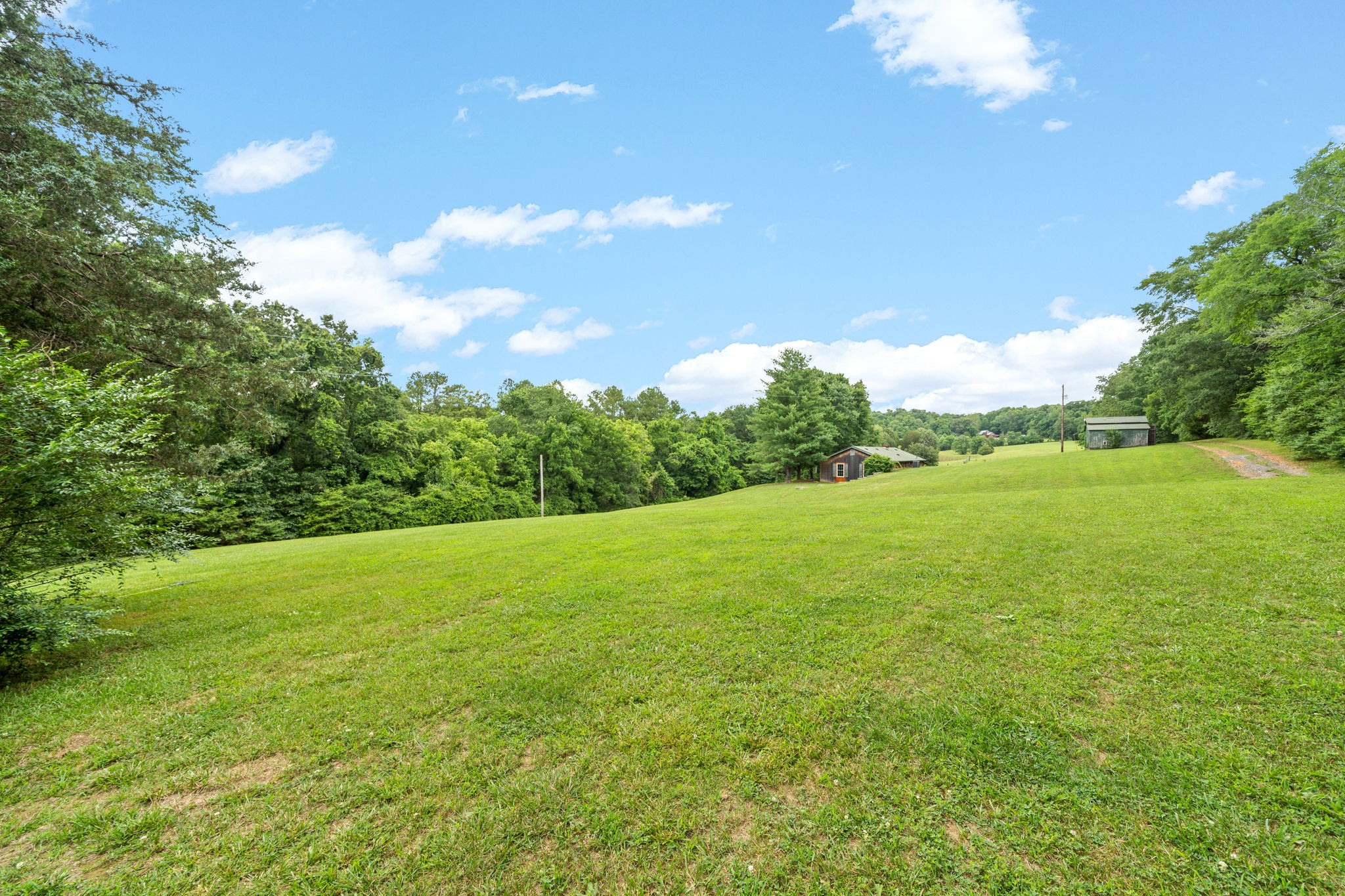 1040 Sensing Road Charlotte, TN 37036 - Photo 8 of 41 a view of yard with ocean view
