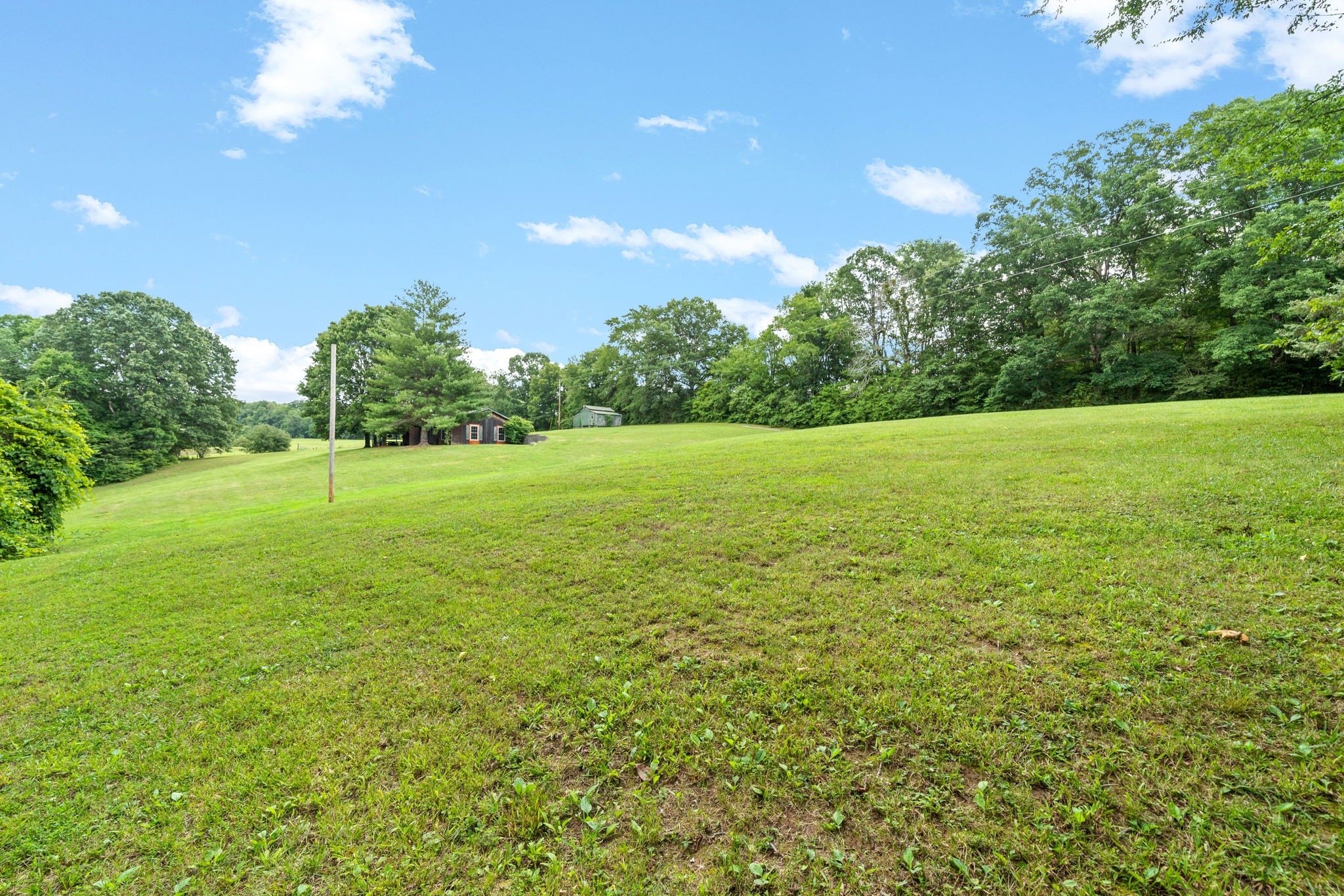 1040 Sensing Road Charlotte, TN 37036 - Photo 9 of 41 a view of a field with an trees